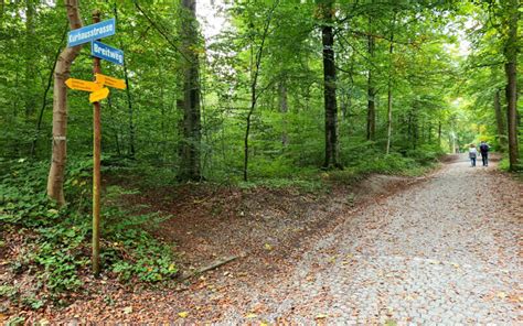 loorenkopfturm|Loorenkopf observation tower Routes for Walking and Hiking